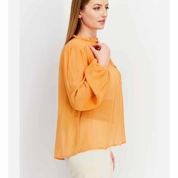 Joie The Jindrah Silk Long Sleeve Sheer Top Buckskin Size Medium - Picture 3 of 13